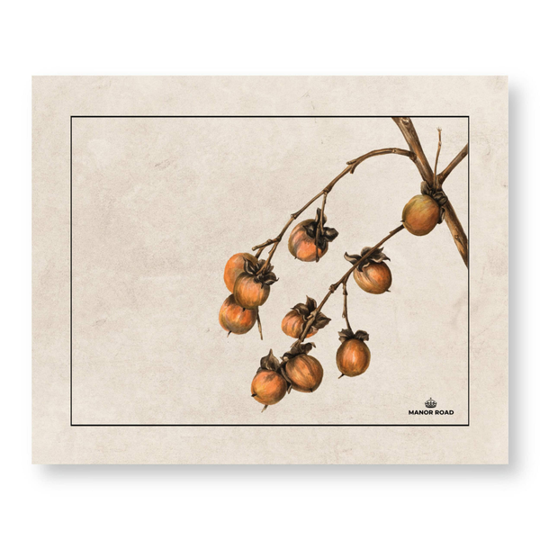 Manor Road Persimmon Paper Placemat Pad 30 sheets