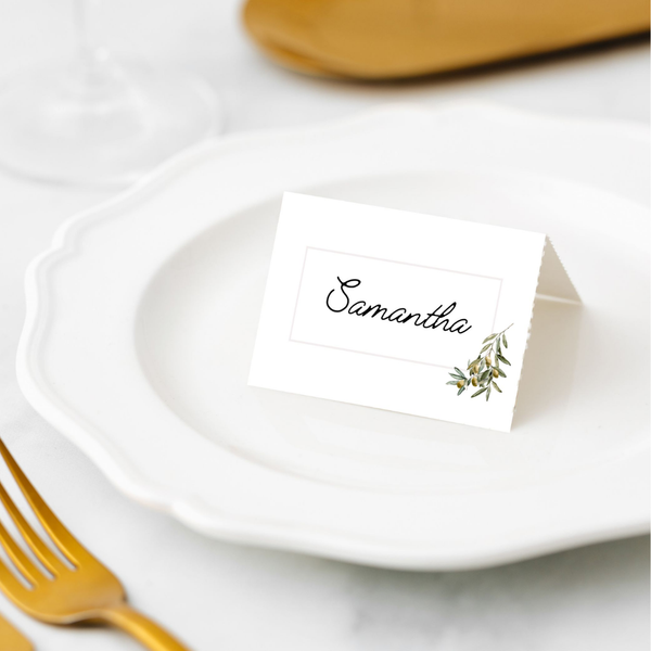 Manor Road Place Cards 45 pack Wild Olives 20 pack