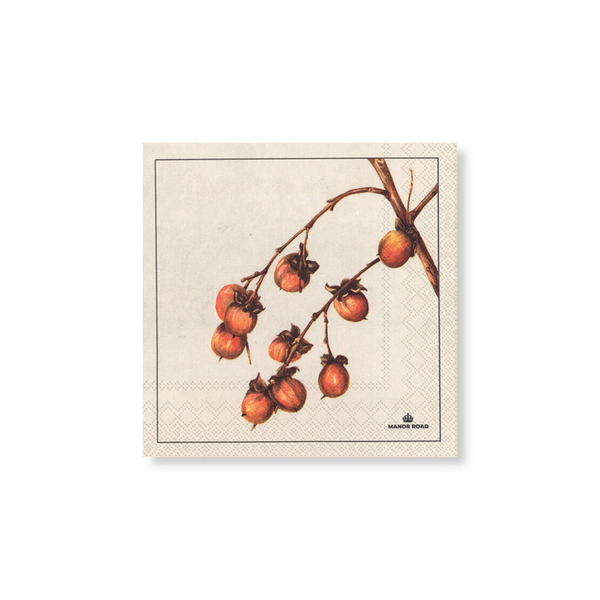 Manor Road Persimmon Napkins Cocktail 20 pack